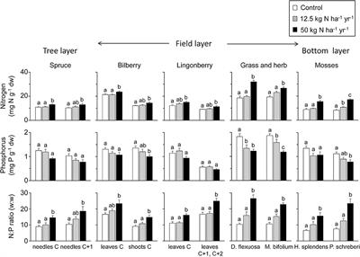 Contrasting Effects of Long-Term Nitrogen Deposition on Plant Phosphorus in a Northern Boreal Forest